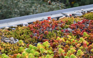 the cost of Cunninghamhead green roof installation