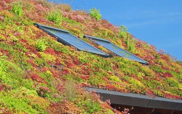 Cunninghamhead living roof systems